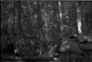 Close-up image of two shelters in the forest. Close-up image of two shelters in the forest.