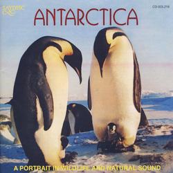 Antarctica: A Portrait In Wildlife & Natural Sound Album Art