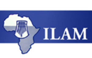 Izibongo Dalindyebo (II) (Track) Izibongo Dalindyebo (II) (Track)