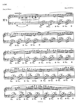 Nocturne op.48 no.2, B.142, Op. 48/2, F Sharp Minor Nocturne op.48 no.2, B.142, Op. 48/2, F Sharp Minor