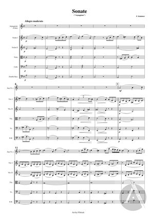 Arpeggione Sonata, arranged for Cello and String Orchestra, D. 821, A Minor Arpeggione Sonata, arranged for Cello and String Orchestra, D. 821, A Minor