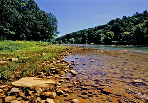 Acid Mine Drainage (Photo Essay) Acid Mine Drainage (Photo Essay)