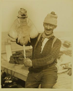 Photograph of fisherman holding up a fish called Kaiser Photograph of fisherman holding up a fish called Kaiser