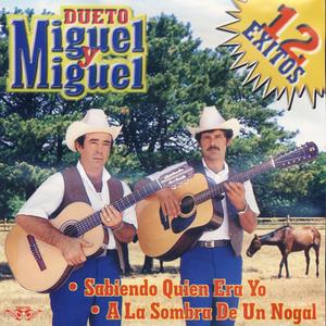 12 Exitos 12 Exitos