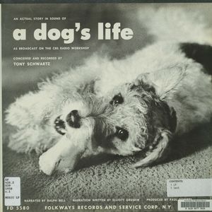 An Actual Story in Sound of a Dog's Life An Actual Story in Sound of a Dog's Life