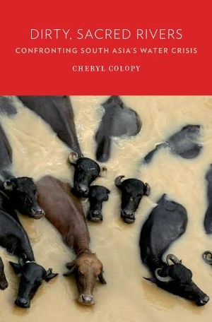 Dirty, Sacred Rivers: Confronting South Asia's Water Crisis Dirty, Sacred Rivers: Confronting South Asia's Water Crisis