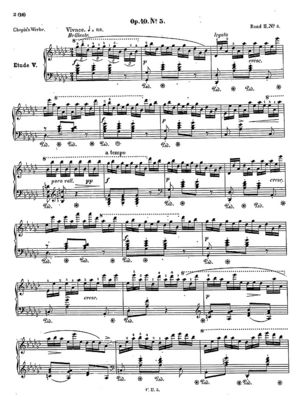 Etude no.5 Etude no.5