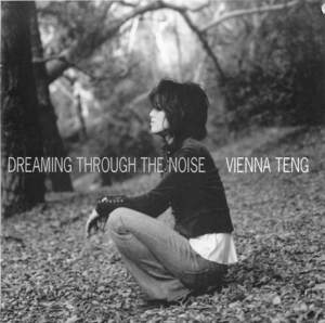 Dreaming Through the Noise Dreaming Through the Noise