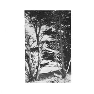 Gentle Wilderness Gentle Wilderness