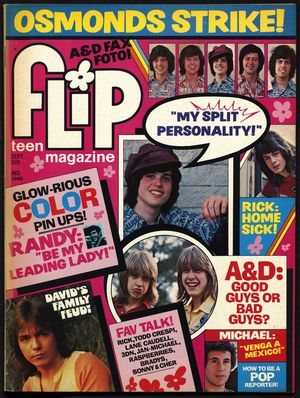 Flip Teen Magazine Sept 1973 No 86 Flip Sept 1973 No 86