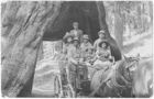 How Did the General Federation of Women's Clubs Shape Women's Involvement in the Conservation Movement, 1900-1930? How Did the General Federation of Women's Clubs Shape Women's Involvement in the Conservation Movement, 1900-1930?