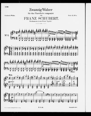 Zwanzig Waltzer Zwanzig Waltzer