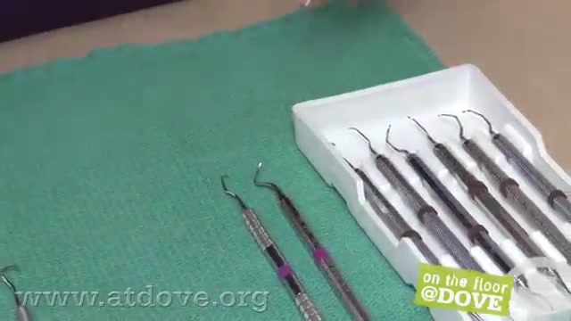 On The Floor Dove Basic Dental Instruments Alexander Street A